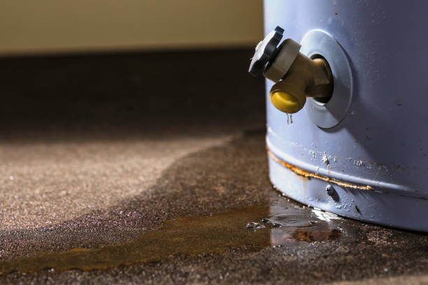  Alamae, NC Water damage restoration Pros