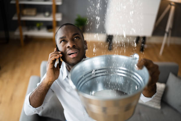 Best 24/7 water damage repair  in Alamae, NC