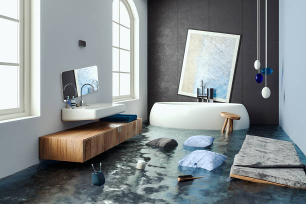  Alamae, NC Water damage restoration Pros