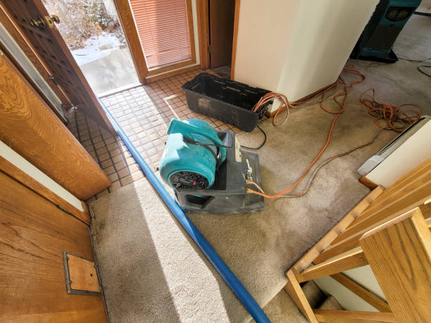 Best Water damage restoration insurance claims  in Alamae, NC