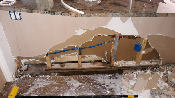 Best Basement water damage restoration  in Alamae, NC