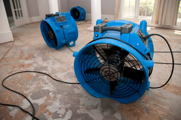 Best Water damage cleanup near me  in Alamae, NC