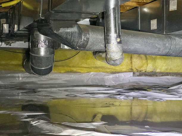 Best Ceiling water damage repair  in Alamae, NC