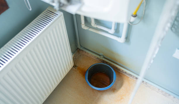 Best Flooded house restoration  in Alamae, NC