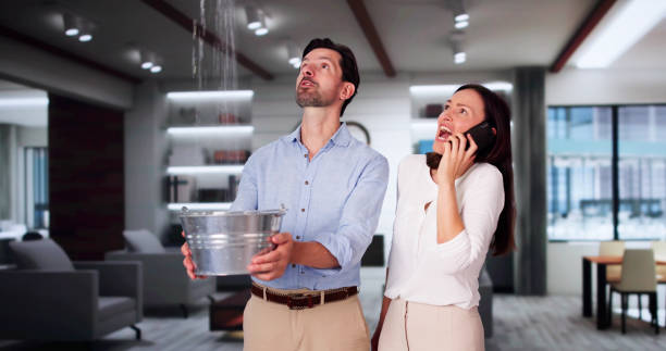 Best Water damage restoration near me  in Alamae, NC