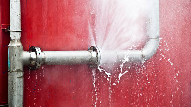Best Water damage restoration mold remediation  in Alamae, NC